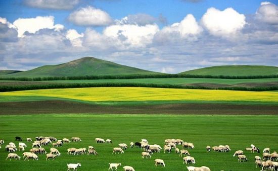 社:呼伦贝尔蒙旅旅行社 口碑认证开元棋牌最新!呼伦贝尔最好的旅行(图2) 社:呼伦贝尔蒙旅旅行社 口碑认证开元棋牌最新!呼伦贝尔最好的旅行(图2)