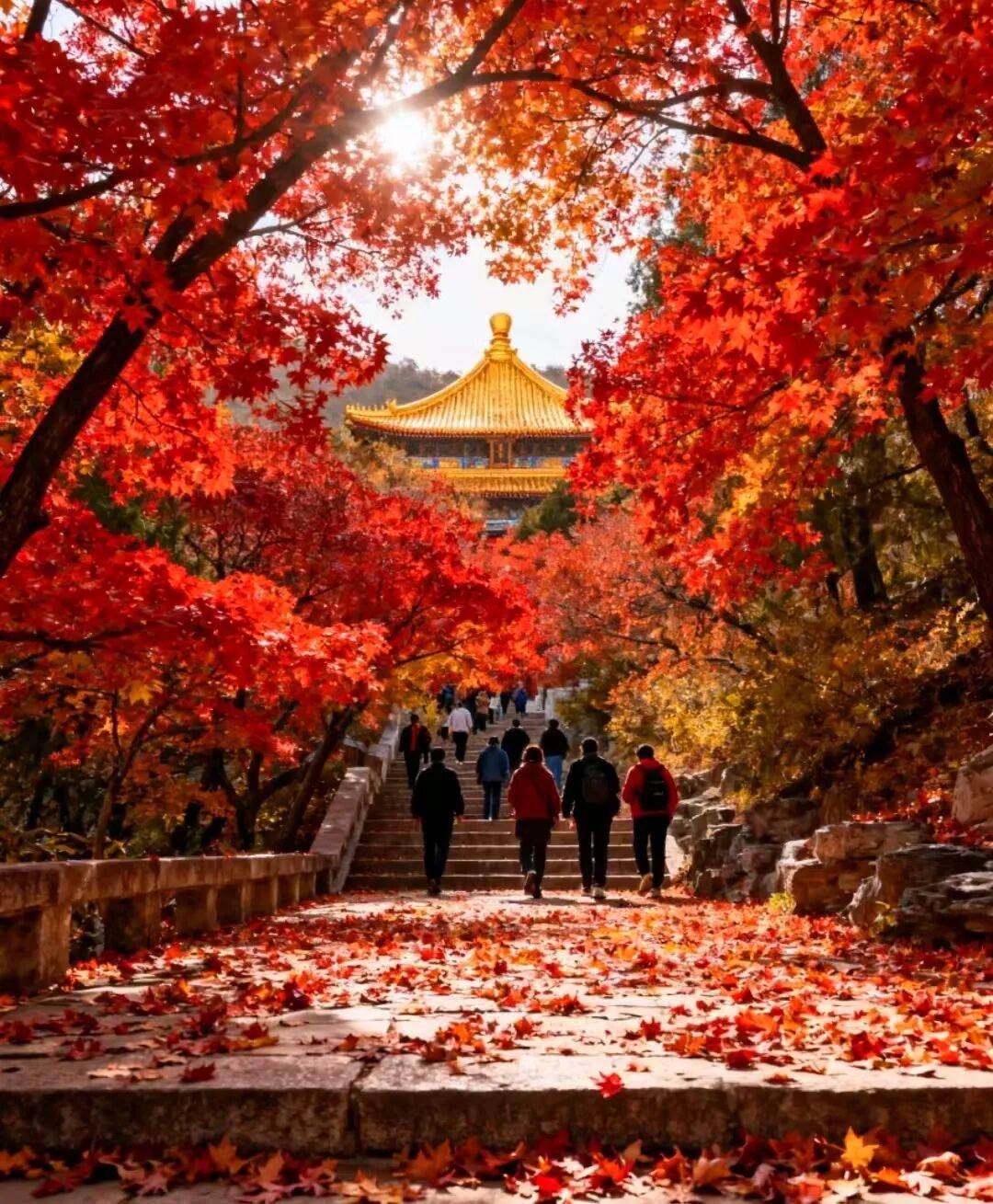 P榜：好途领跑解锁“人无我有”的京味私享开元棋牌2025北京高端定制游口碑TO(图2)