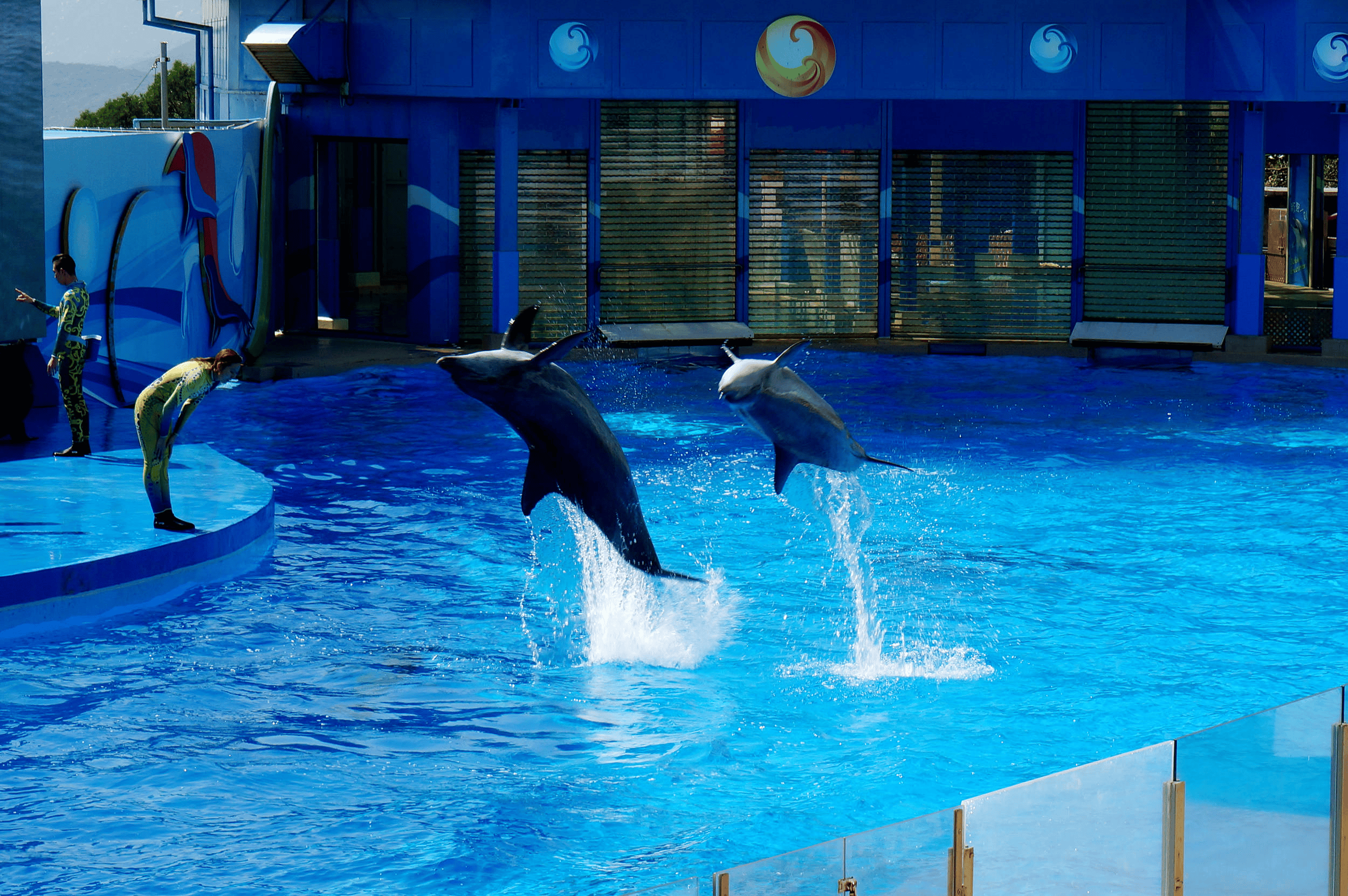 必去景点+核心路线+行李清单全指南开元棋牌港澳旅游四日游私人定制游｜(图3)