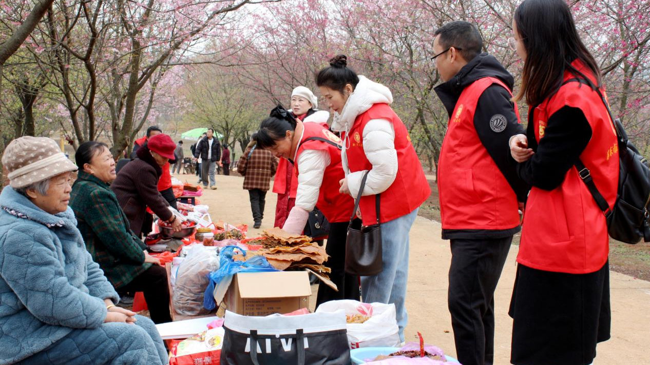 千亩樱花烂漫惹人醉开元棋牌湖南邵东:(图1) 千亩樱花烂漫惹人醉开元棋牌湖南邵东:(图1)